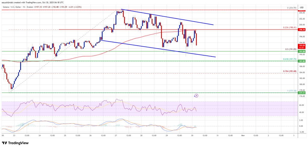 Solana (SOL) 跌至支撑位附近——或将迎来反弹机会